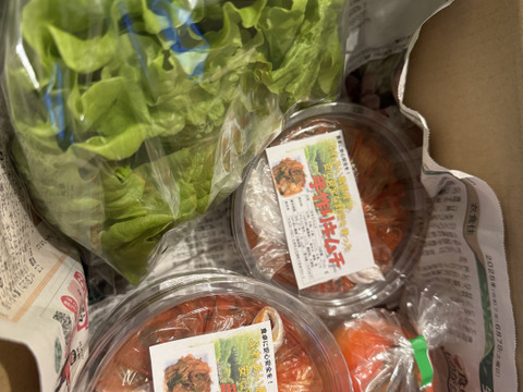 農園野菜で作った『手作りキムチ！』500g