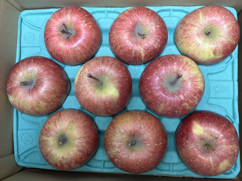 【栄養満点】 葉とらずふじ　3㎏　8～12玉　青森りんご　農家直送