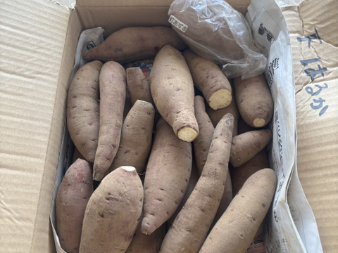 2種食べ比べ‼️ねっとりと滑らかな舌触りのさつまいも　千葉県香取市産　【はるか&シルク】2.8kg