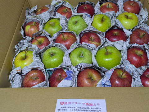 季節のりんご ミニ小玉ちゃん 約26玉（約4.3㎏）
シナノスイート、王林などをミックス　
２種類～の味を食べ比べ
ミニサイズのかわいいりんごをバラづめでお届け
丸かじりでどうぞ　信州長野県産