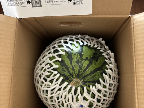 三浦のすいか 1玉(約8kg)