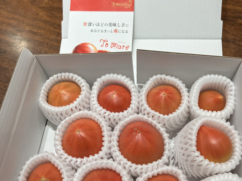今シーズンラスト【7/9水曜日発送】弾ける旨味・甘み！【ト・マーレ】禁断の濃密さ 800g