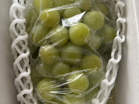 大粒！シャインマスカット】 特秀品 1房 600g以上 化学肥料