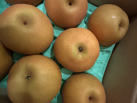 【南水3ｋｇ】糖度15°、超甘い、シャリ感、硬い、ジューシー、日保ちする信州生まれの優れもの！⑨【秀品】