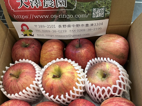信州りんご🍎４キロパック詰め
