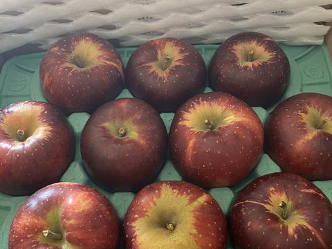 次は来年です🍎【色も濃い味も濃い】秋映3キロ箱6玉〜15玉サイズ 商品ID42530 りんご3兄弟 9月 10月 長野県 信州 安曇野 リンゴ 幻 幻のリンゴ 予約 希少 旬