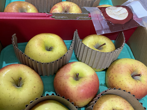 【希少種】【あまみつき】（2kg・6～9個入り）パリ甘・ジューシーお得な家庭用