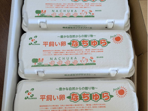 濃厚な味わい！平飼い卵なちゅら　１０個入×３パック