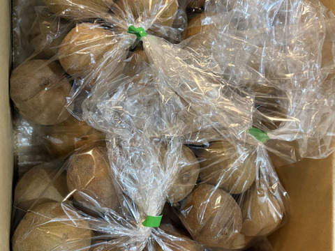 【家庭用たっぷり】30〜35個入るキウイ 約3kg
農薬・化学肥料不使用｜八女産アップルキウイ