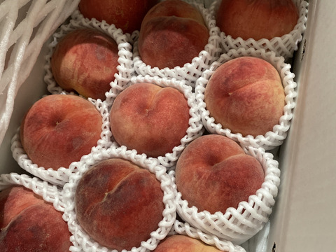 桃名人厳選　桃【ご家庭用　訳あり商品】白桃約3ｋｇ(8-12玉）