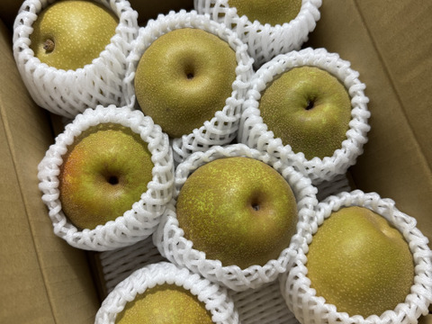 【超希少品種、サザンスイート2ｋｇ】幸水より甘い新品種、サザンスイート約2ｋｇ