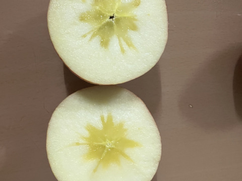 すぐ発送！5キロ 16-20 蜜入チェック済！樹上完熟蜜入葉取らずサンふじ　農薬半減栽培で安心安全