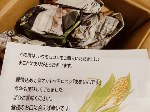 【朝どれ】フルーツとうもろこし『あまいんです』10本　希少な１番果のみを厳選出荷！