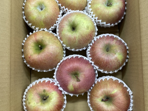 【新年大特価】訳あり　小玉ふじ　農薬50%減　10㎏