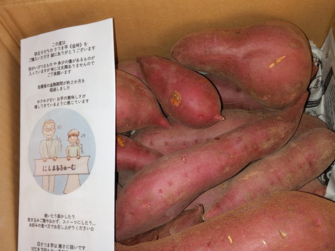 【訳あり】貯蔵期間2ヵ月ホクホク甘い！砂丘のさつまいも(３kg)