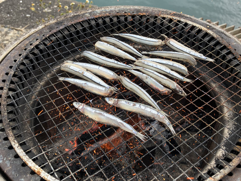 きびなごズボラセット（揚げ物4種）