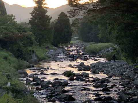 冷蔵便【農薬化学肥料不使用】むらざと自然農園　野菜セット(7品目+おまけ)岐阜県加茂郡白川町黒川　サイズ80の箱に旬のお野菜をお届けします！