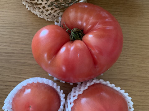 🍅復帰祭🍅ドドンと！お得な訳ありトマト約4kg (約15〜30玉)【福岡県産トマト】🍅