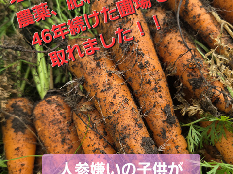 自然栽培人参わけあり10キロ：青森県産の野菜｜食べチョク｜産地直送