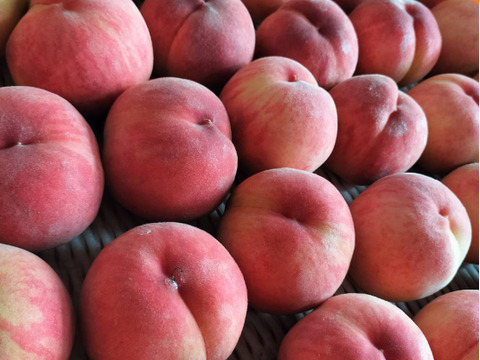 お手頃丸かじり桃!!『川中島白桃 2kg』☆数量限定☆【小玉品】