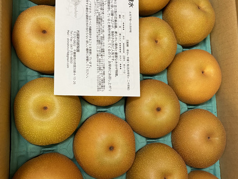 滴る果汁🍹　千葉県産【豊水】5㎏　お手頃サイズ『16～18玉入』市川のなし・秀品