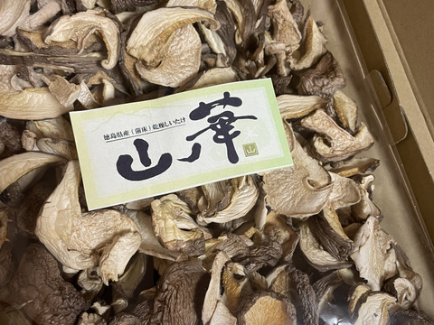 完全国産材料使用　徳島県産乾燥椎茸　100グラム　農薬、殺虫剤も不使用生産