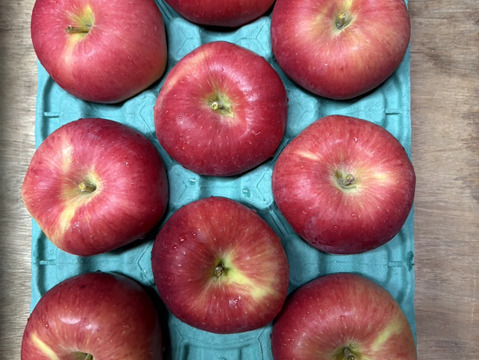 特別栽培!! 生産量の少ない希少りんご「華宝」Ａ品・3㎏