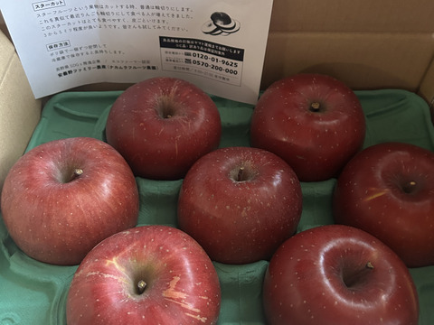 りんごグランプリ2025最高金賞1位🎊サンふじ 3キロ箱 家庭用  6玉〜15玉サイズ 小傷あり  ID80274 長野県 信州 安曇野 リンゴ 幻 幻のリンゴ 予約 希少 旬 甘い