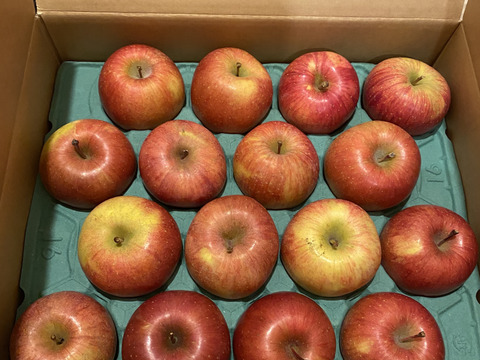 《予約商品》 12月上～中旬 訳あり サンふじ 5キロ箱 12～18玉 長野県産