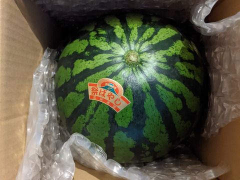 人気No. 1“特選”大玉スイカ🍉3L （8〜9kg）   1玉入り　一つ一つ厳選しお届けします👨🏽‍🌾