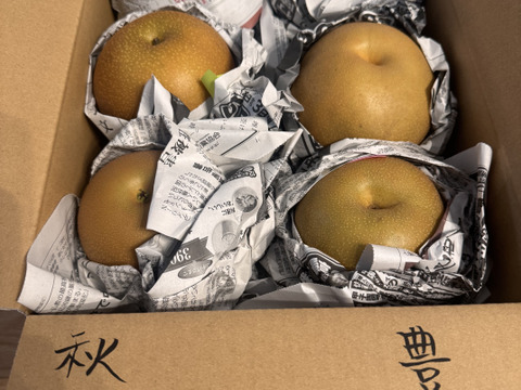 豊水梨とあきづき梨食べ比べセット