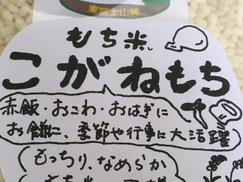 【イチオシBOX】富士山麓のお米食べ比べ！