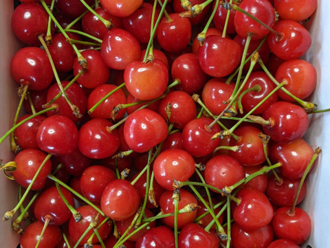 さくらんぼバラ詰め800ｇ