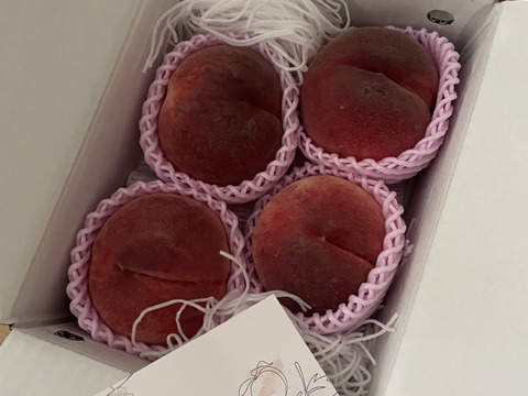 【先行予約★人気の一品！】旬の採れたて桃★２kg (4〜8玉)★朝どれ当日発送  2025年７月上旬より順次発送！山梨県笛吹市産　沖縄県 北海道注文不可