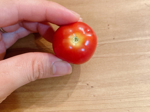 【訳あり品】トマトベリー2kg