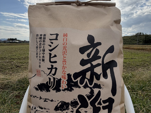 R7年度新米　新潟県岩船産コシヒカリ5kg　冷蔵庫保管品　白米