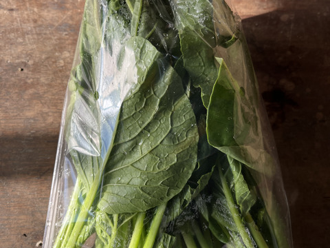 【自然栽培】小松菜　200g×5p