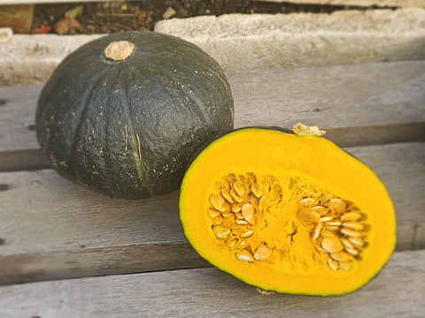 ホクホクなかぼちゃを食べたかったら木須農園のダークホース　10kg(８から１０玉)