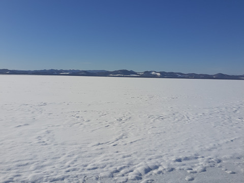 氷下～湖白牡蠣　１年剥き身500g×2(1㎏)