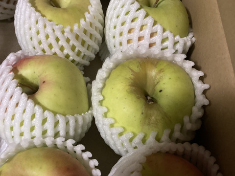 【販売開始！】青森県産りんご「ぐんま名月」家庭用 キズ有 約5kg 【光センサー選果・高リピート率】