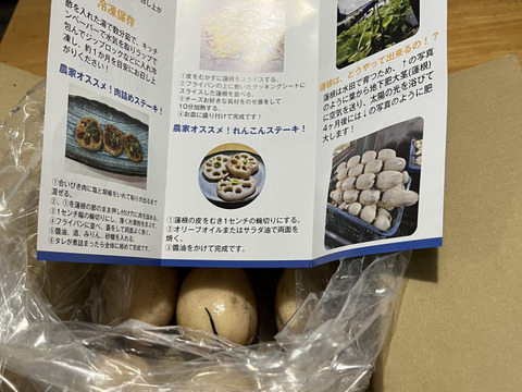 茨城県土浦市ブランド認定品『市川蓮根』！！ミシュランガイド掲載店に納品！！【贈答１キロ】