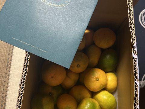 愛媛みかんの老舗厳選『極早生みかん 3.5kg』愛媛県川上産