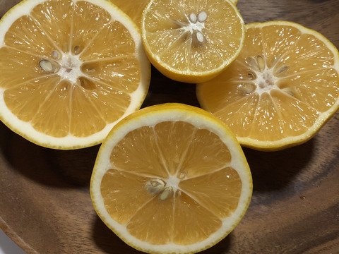 八丈島レモン　B品‼️
化学農薬・化学肥料、防腐剤不使用、
東京GAP取得！　2キロ