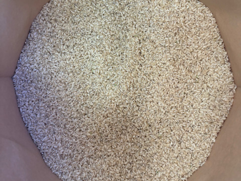 【農薬･肥料不使用玄米】この農園だけの美味しい無肥料米【5kg】