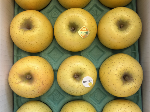 【黄色いりんご食べ比べ】　シナノゴールド・藤原ロマン　家庭用小玉 約3kg（11～14玉）