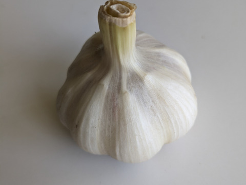 玉ねぎ（15個:約3kg）＋ニンニク2個　農薬・肥料・除草剤は使用していません。