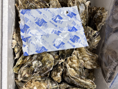 【生牡蠣】【生食用】三重県産 殻付き 浦村かき
S～Mサイズ 50個入り 4Kg (5～10人前）
牡蠣 貝類 海鮮 バーベキュー 母の日 父の日【冬ギフト】【生で食べれる美味い牡蠣】