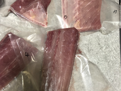 山口県産天然ぶり 冷凍加工済み
大特価です！