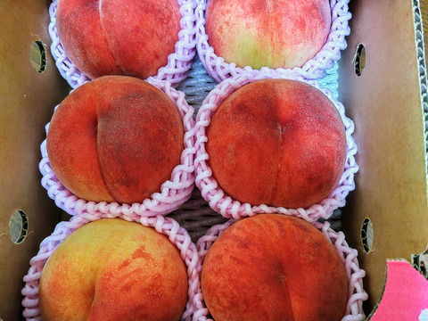 🍑桃の王様　川中島白桃　1.5kg　5玉前後　【ASIAGAP認証農場：津軽農園】8月下旬　採れたて農家直送【朝どれ】