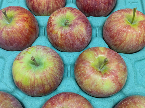 信州りんご🍎４キロパック詰め